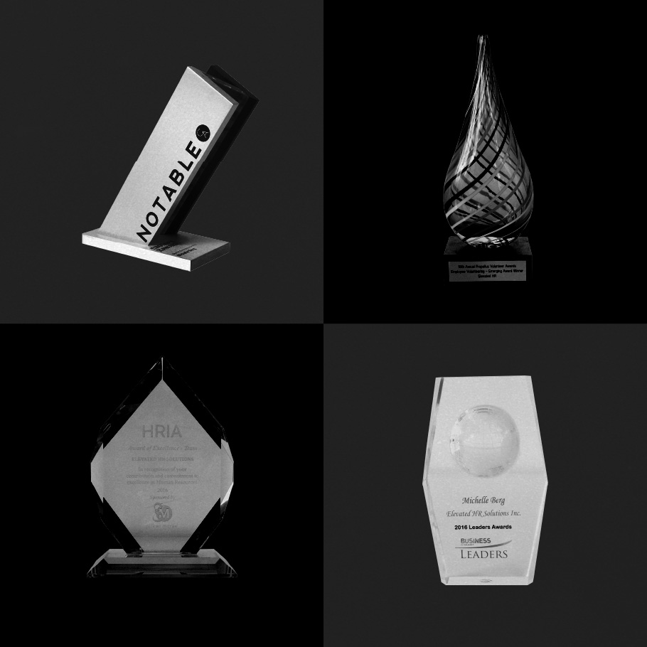 Awards won by Michelle Berg and the Elevated HR team.